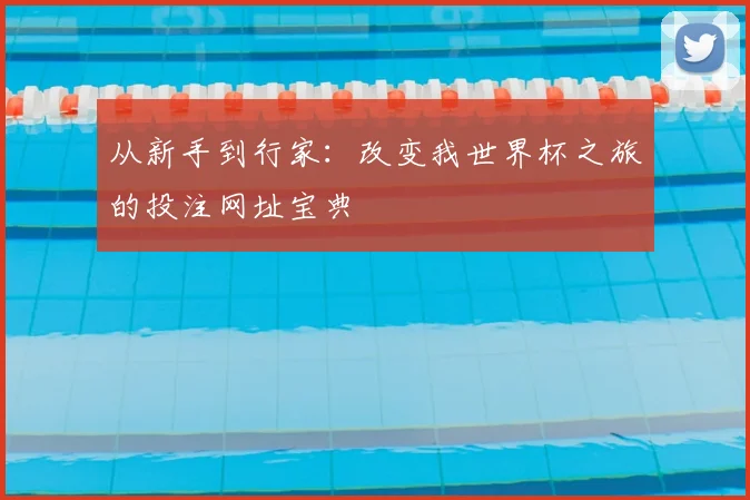 从新手到行家：改变我世界杯之旅的投注网址宝典