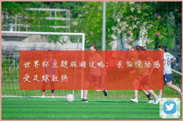 世界杯主题旅游攻略：亲临现场感受足球狂热