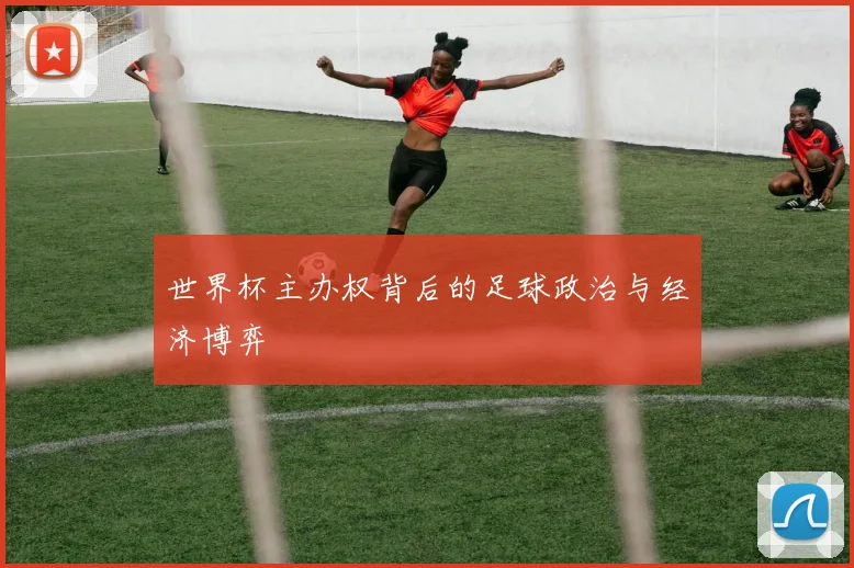 世界杯主办权背后的足球政治与经济博弈