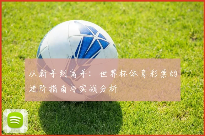 从新手到高手：世界杯体育彩票的进阶指南与实战分析