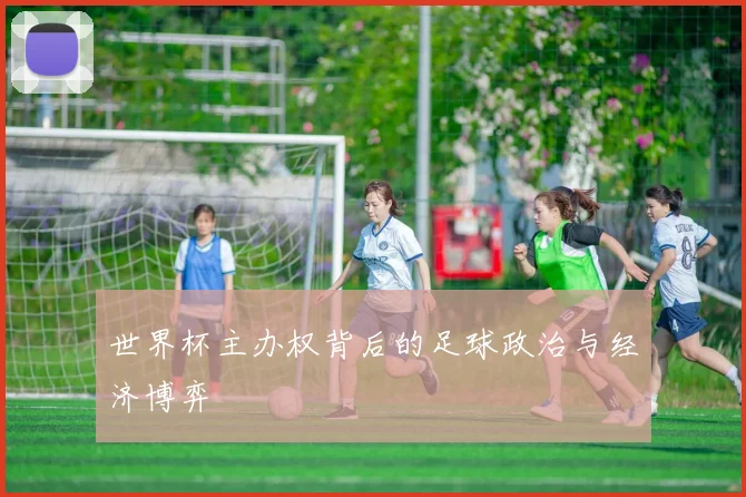 世界杯主办权背后的足球政治与经济博弈