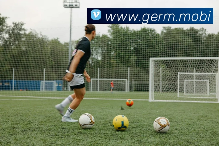 亚搏app登录入口平台生态图